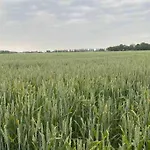 Schrijvershuisje - sfeer&stilte Zeeuws Vlaanderen